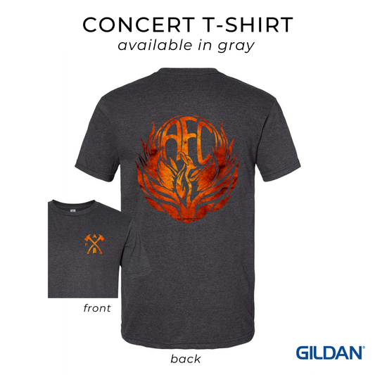 Concert T-shirt in Gray